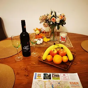 Apartman Oldtown Shelter With Free Private Parking, Eger